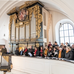 Franz Xaver Gruber-Orgel in der Stadtpfarrkirche Hallein