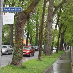 Franz-Gruber-Straße in Salzburg, Nonntal
