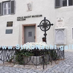 Grab Franz Xaver Grubers in Hallein
